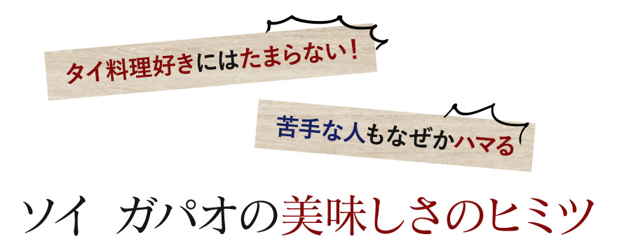 ソイ ガパオの美味しさのヒミツ